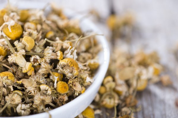 The Healing Benefits of Chamomile